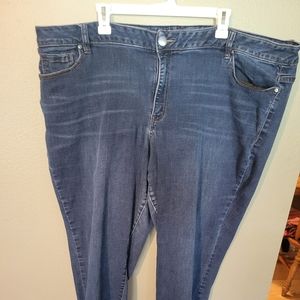 Lane Bryant boot cut jeans